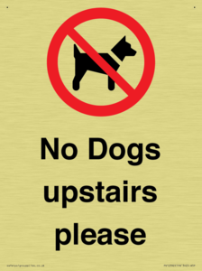 No Dogs upstairs please 